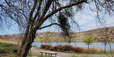 Körfez Sipahiler Göletine Piknik Alanları	