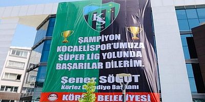 Körfez Yeşil Siyaha Büründü