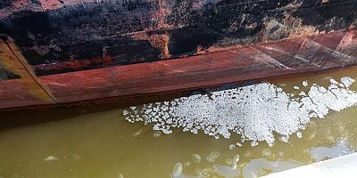 Körfezi kirleten gemiye 5 milyon lira ceza