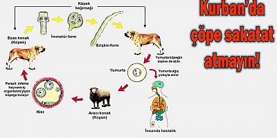 Kurban’da çöpe sakatat atmayın!