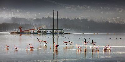 Mekânın sahipleri geri döndü