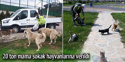 Onlar da sahipsiz değiller