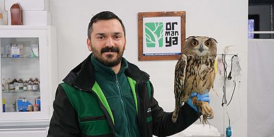 Ormanyada Binlerce yaban hayvanı hayata döndürüldü