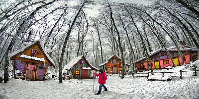 Ormanyada kartpostallık kış manzaraları