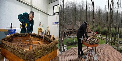 Ormanyadan engelli leylekler için özel proje
