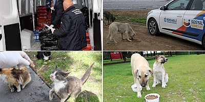 Sessiz dostlarımızın karnı yeni yılda da doyacak