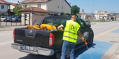 Sivrisinekle mücadele devam ediyor