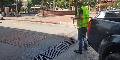 Sivrisineklere karşı ilaçlama aksatılmıyor