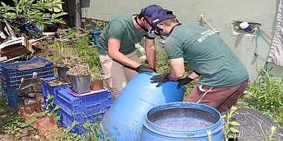 Sivrisineksiz bir yaz için mücadele sürüyor