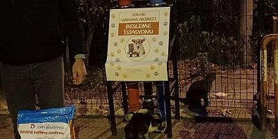 Sokağa çıkma yasağında can dostlar unutulmadı