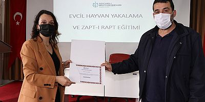 Sokak hayvanlarını yakalama ve toplama eğitimi