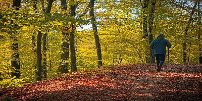 Sonbahar huzurun adresi Ormanyada bir başka