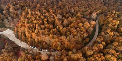 Sonbaharın tüm renkleri ve güzellikleri Eriklitepede