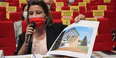 Tarihi Duvar için Büyükşehire çağrı