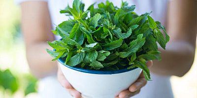 Vücudunuzu tepeden tırnağa onaran 10 bitki