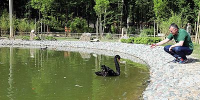 Karaca’yı besledi, kuğuları görmeye davet etti