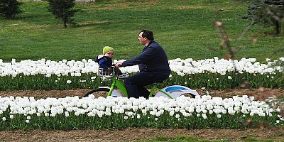 Yazın 179 bin vatandaş bisiklet kiraladı