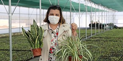 Yeşil bir İzmit için yaşam bahçesi