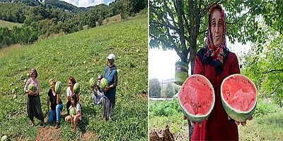 Yüzde 50 Hibeli Çilek bahçesi tesisi ve karpuz tohumu
