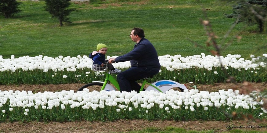 Yazın 179 bin vatandaş bisiklet kiraladı